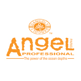 Angel Professional